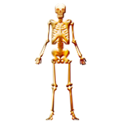 Anatomy of eviction
