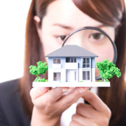 Property inspection